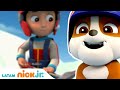 Paw Patrol | La fuerza se une al equipo 🐶| Nick Jr.