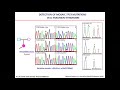 E021 from lifraumeni syndrome to tp53related inherited cancers
