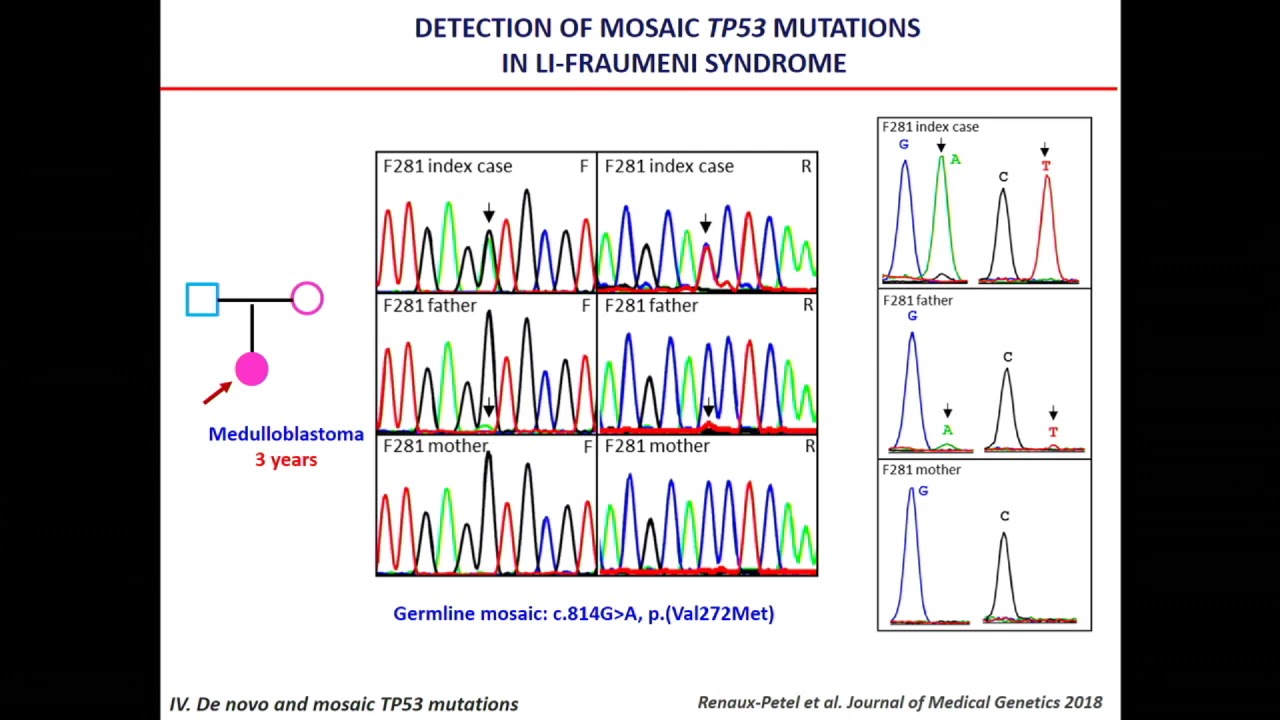 Li-Fraumeni Syndrome. Синдром ли-Фраумени презентация. Tp53 мутация. Мутация chek2 - синдром ли–Фраумени 2-. Синдром ли фраумени