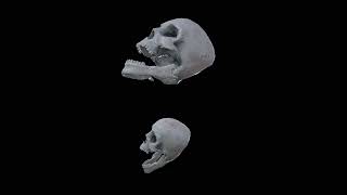 Skull - Decor props screenshot 4