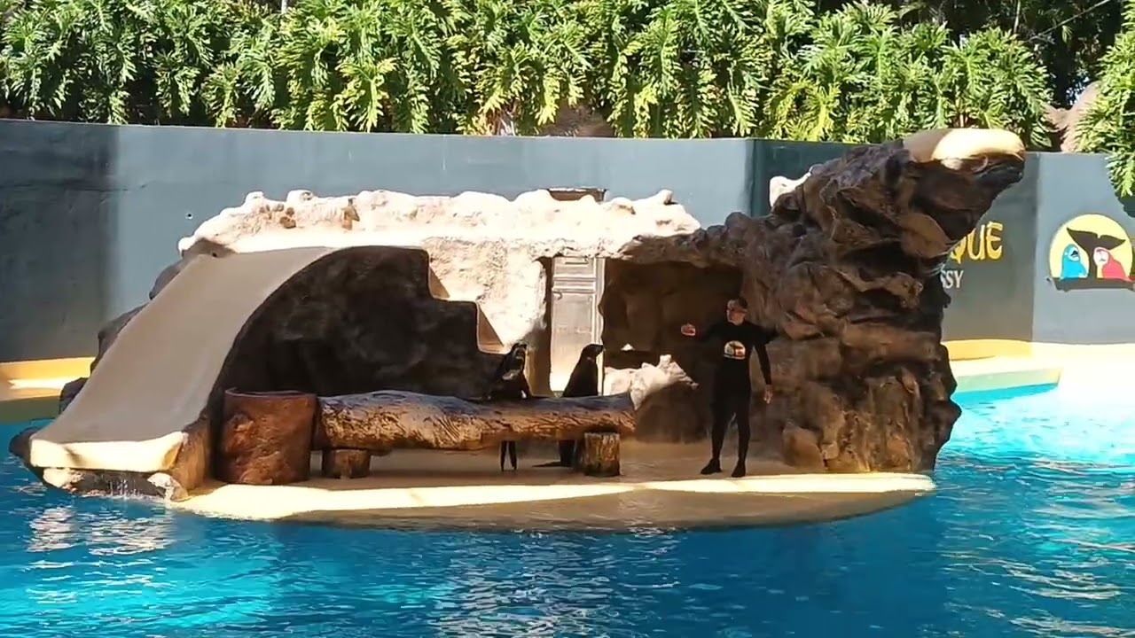 Тенерифе. Лоро-парк. 02.26