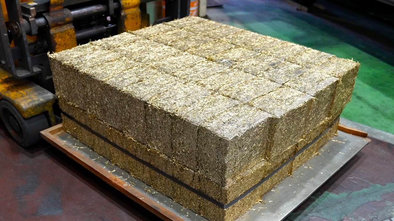 Топ 5: Без отходов! Повторное использование! Японский процесс переработки!