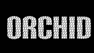 Orchid - Death Of A Modernist