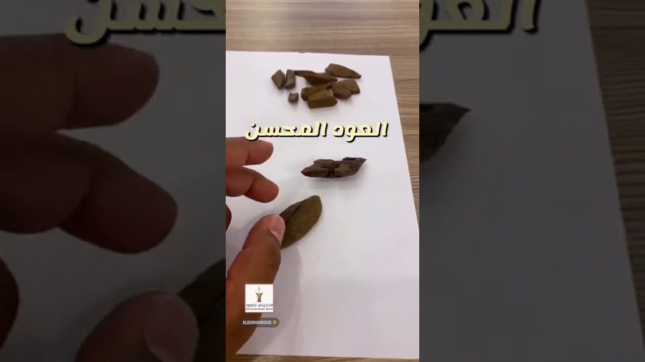 الفرق بين العود الطبيعي والمحسن(طبيعي صناعي)؟ حلقة تثقيفية