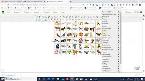 Basics of ChemDraw Online