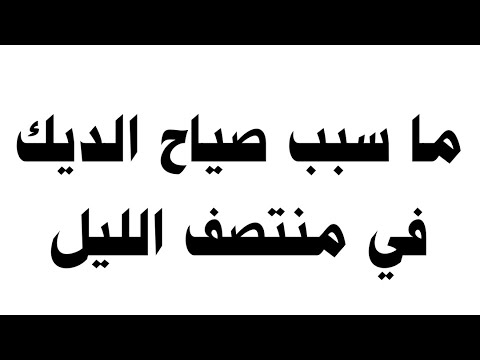 فيديو: هل يمكن للديوك أن تصيح في الليل؟