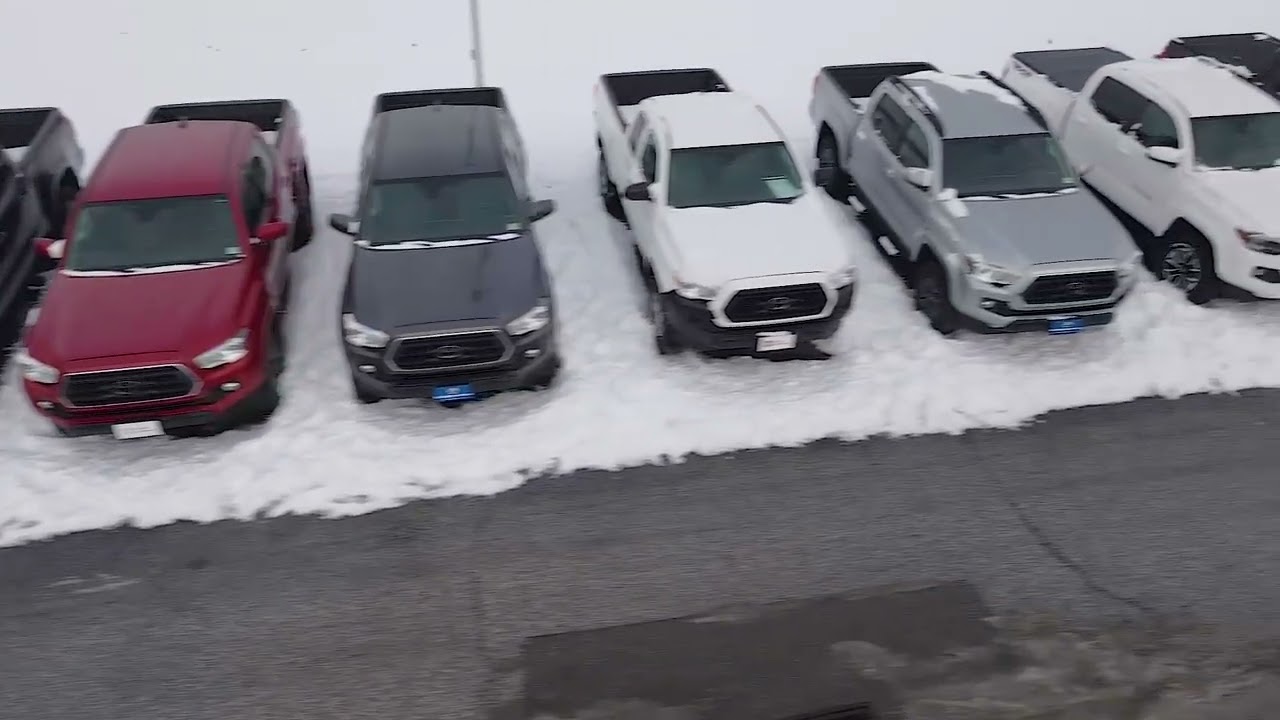 Taco Time at Handy Toyota