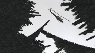 Death From Above Dayz