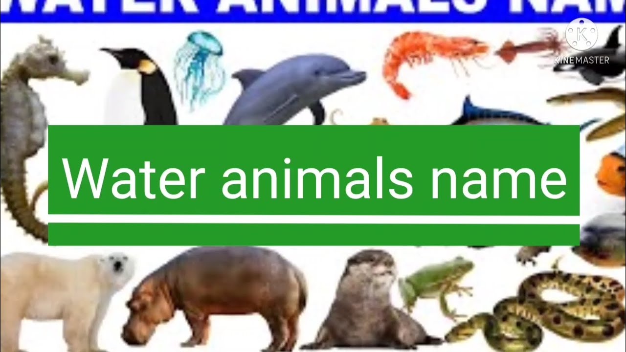 water animals name पानी में रहने वाले जानवर Pani mein Rahane wale