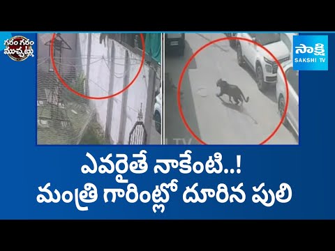 Leopard Enters Rajasthan Minister's House In Jaipur | Garam Garam Varthalu | Sakshi TV - SAKSHITV
