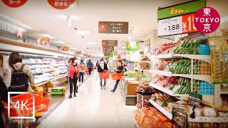 Japan | Walking on local area