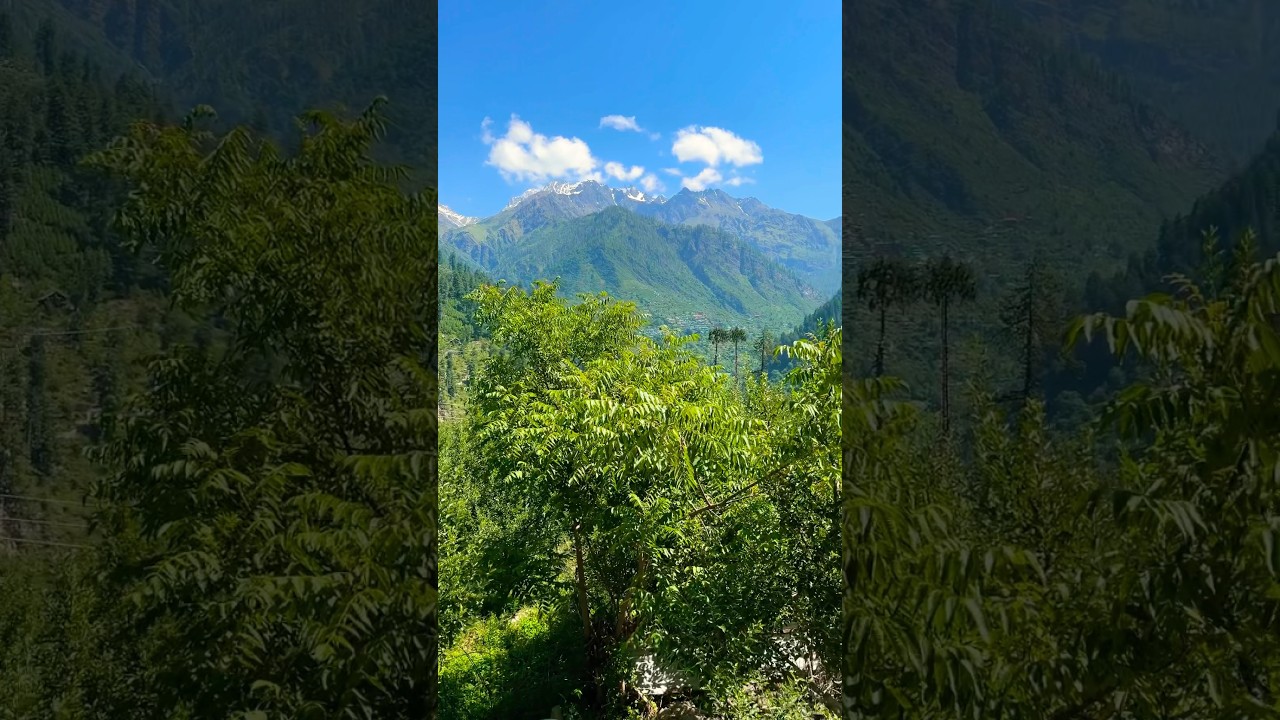 Best View Hotel in Kasol❤️ 