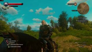 Modded The Witcher 3 gameplay - RX 480 8GB