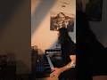 Recording some prog/oriental rock keyboard solos for 🇺🇸🔥🎹#keyboardist #keyboardsolo #leadsound