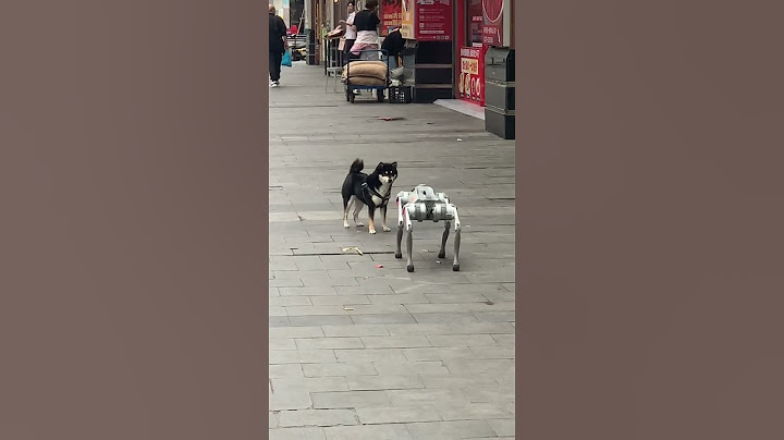 🐶What is this dog? It has no hair. #shorts #robotdog #reaction