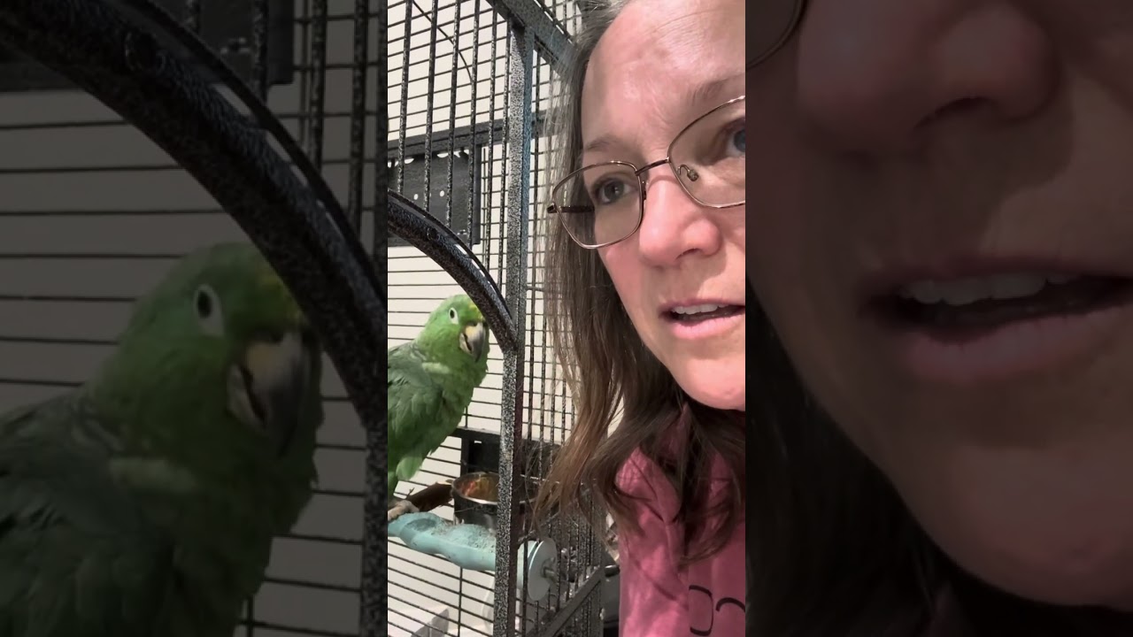 Parrot rescued from darkness