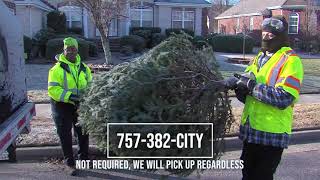 Christmas Tree Disposal
