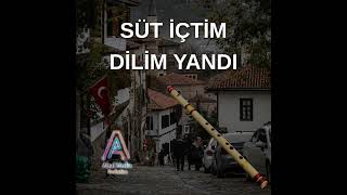Süt İçtim Dilim Yandı Ney Versiyon