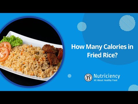 1 Cup Nasi Goreng Calories