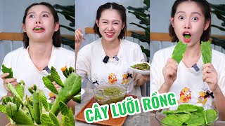 Cây Này Ăn Được Hả Ta ??? Lần Đầu Mukbang Không Thấy Thèm