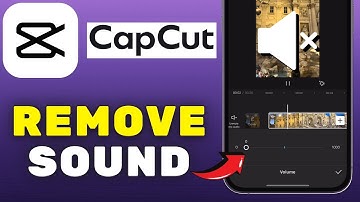 How To Remove Sound From A Video In CapCut (2025)