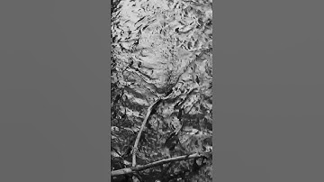 Sampling the iPad synth into the Octatrack. Repitched entire performance in Ableton Live.