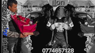 marius de la focsani madalina Habibi