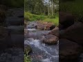 Refreshing Water Stream on Rocks - Nature Relaxation