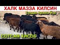 Кузилар Арзон Булди!☎️+998 99 318 4995