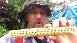 How too build a dugout canoe.