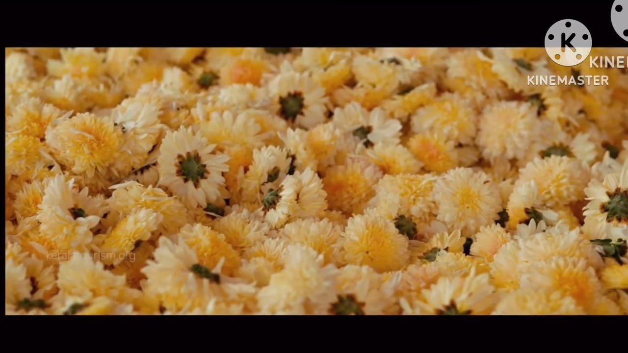 Onam Save the Date 2023