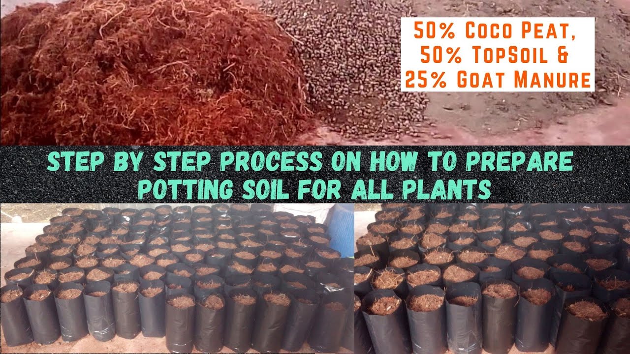 How to Prepare Potting Soil for All Plants | Step by Step - YouTube