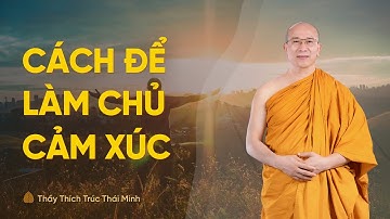 Cách làm chủ cảm xúc | Thầy Thích Trúc Thái Minh
