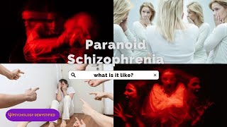 What is a person diagnosed paranoid schizophrenic like