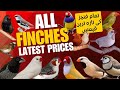 All Finch Mutations & Exotic Finch Latest Prices in Pakistan | زیبرا فنچ و دیگر فنچز کی قیمتیں
