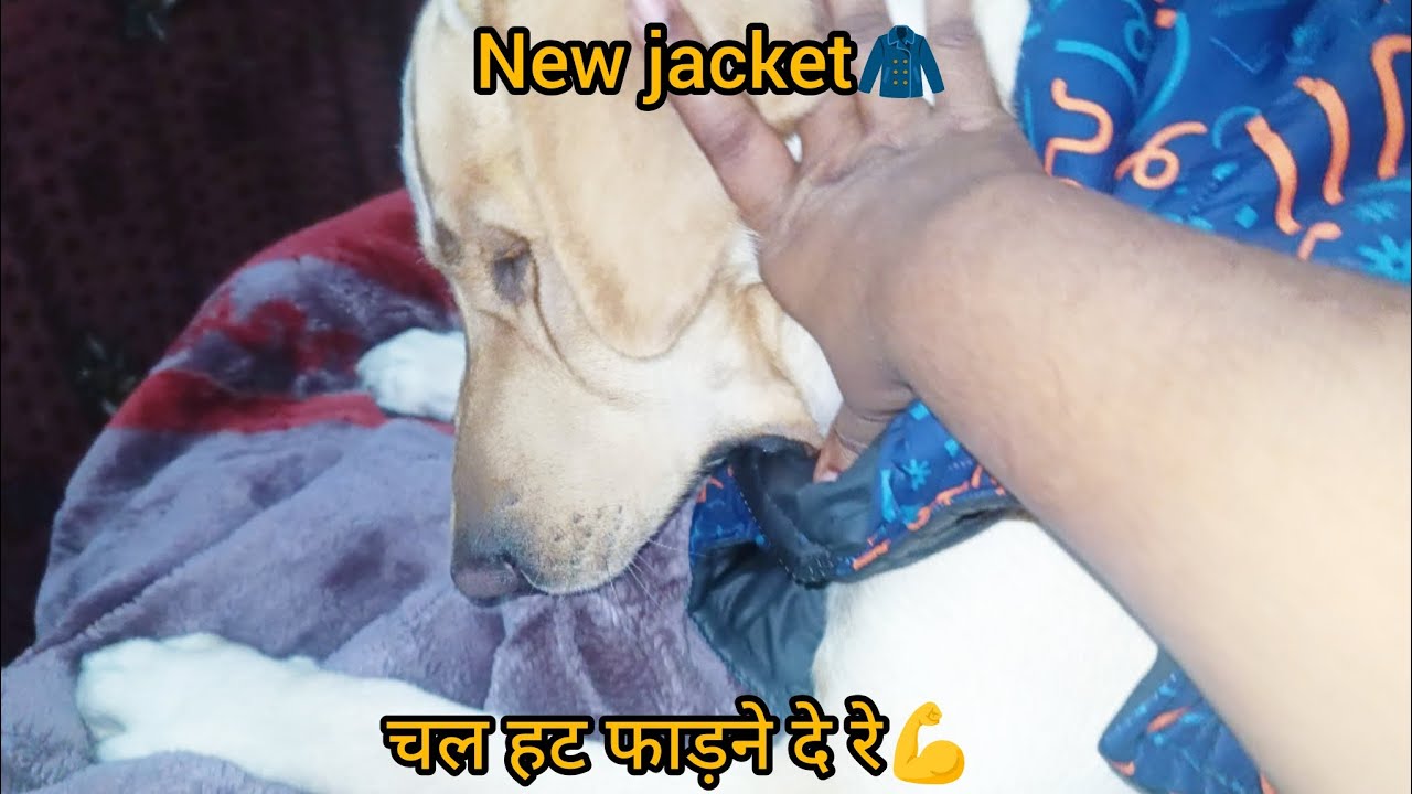 New jacket kharab kar raha hai🧥💪