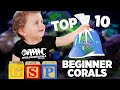 Top 10 Corals for Beginners - World Wide Corals