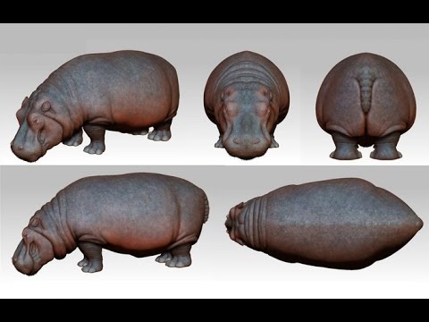Video: Paano Iguhit Ang Isang Hippo