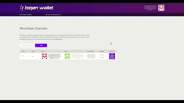 1st IOTA Smart Contract on Qubic Lite: MicroHash Channels for instant TOQEN Micro-Payments (Demo)