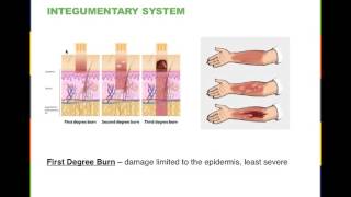 Biology Week 6 C 1