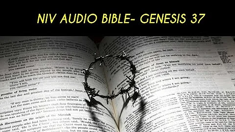 GENESIS 37 NIV AUDIO BIBLE (with text)