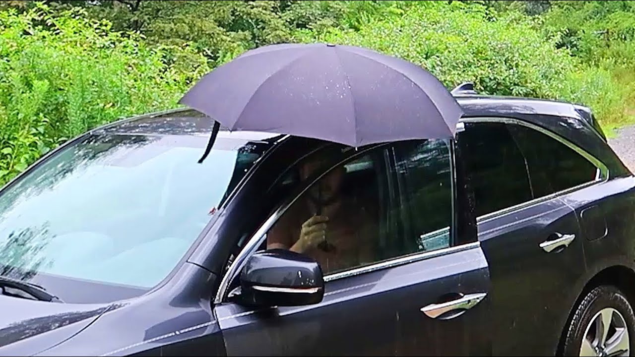 World's Best Umbrella YouTube