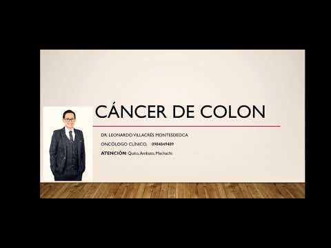 Vídeo: MiR-448 Se Dirige A IDO1 Y Regula La Respuesta De Las Células T CD8 + En El Cáncer De Colon Humano