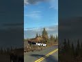 A Moose is BIGGER than your Car 🦌 #shorts