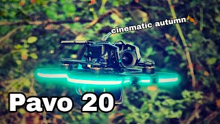 Beta FPV Pavo 20 cinematic flight in autumn Paradise 🍂