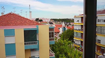 Dynamic Perception Timelapse 5D