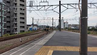 JR東日本 南武線 E233系8000番台 N18編成 普通 立川行き 入線シーン@尻手