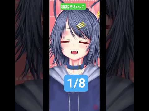 1/8 #ダキ君参拝 #vtuber  #shorts #寝起き