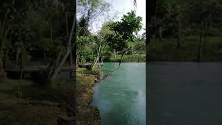 CABUBAS FALLS SAN JORGE SAMAR➡️📍(1) Wealth