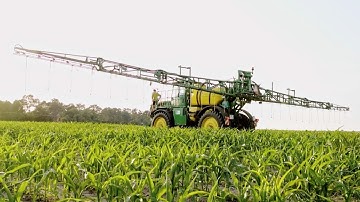 Weed control in maize with the help of a drone based application map | John Deere